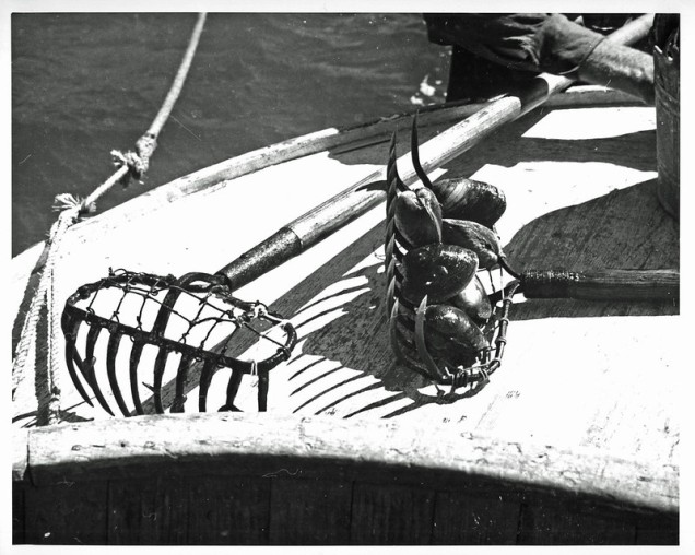 Clam rakes, Sea Level, 1935-40. Photo: Charles A. Farrell, courtesy, State Archives of North Carolina 