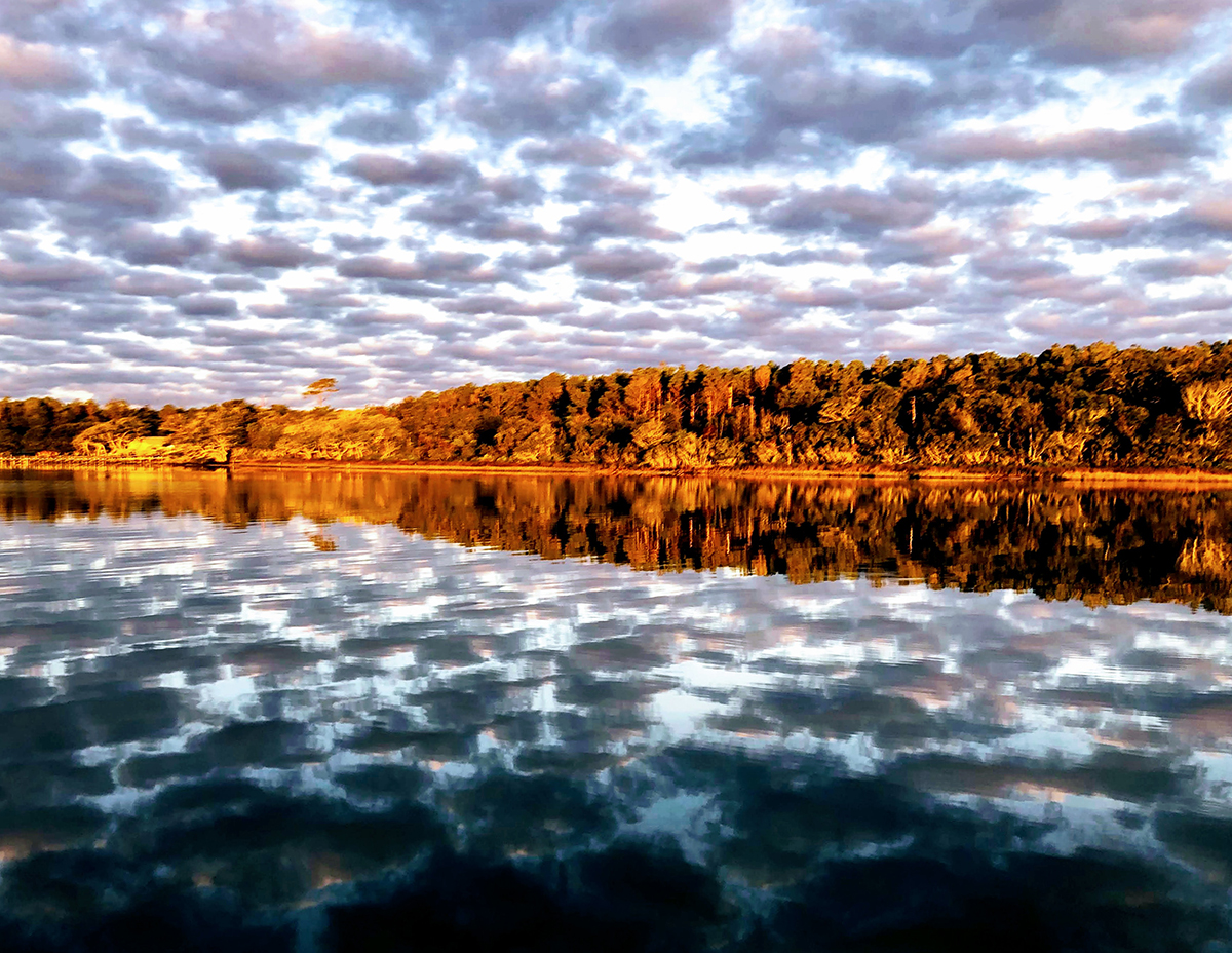 Site of the North Carolina Coastal Federation's planned Coastal Center on Bogue Sound. Photo: Todd Miller