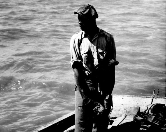 Herring fisherman on the Chowan River near Colerain, circa 1937-39. Photo: Charles A. Farrell, courtesy, State Archives of North Carolina 