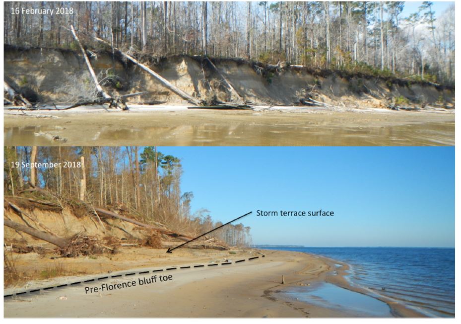 Pre- and post-storm photographs of Neuse River shoreline just southeast of Flanners Beach.