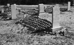 Graves covered with conch (whelk) shells, Cedar Island, N.C., ca. 1937-41. Photo by Charles A. Farrell. Courtesy, State Archives of North Carolina
