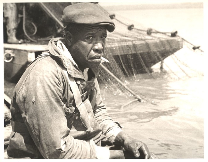 Fisherman at either Terrapin Point or the mouth of the Cashie River in Bertie County 1937-41. Photo: Charles A. Farrell, courtesy, State Archives of North Carolina 