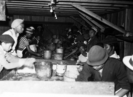 Shrimp house workers, Southport, 1938. Photo: Charles A. Farrell, courtesy, State Archives of North Carolina 