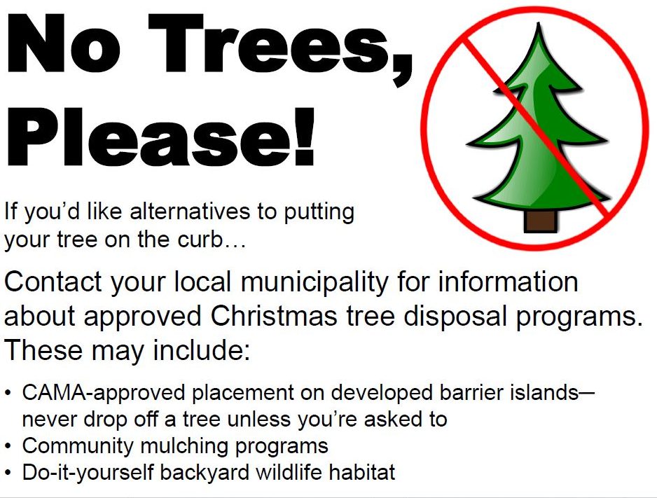 Audubon North Carolina's "No Trees, Please!" signs offer alternatives to curbside disposal.
