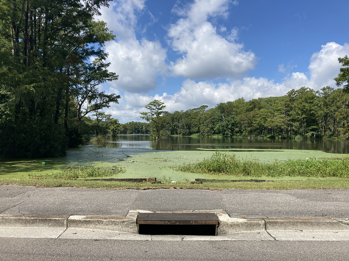A storm drain near Greenfield Lake in Wilmington. This curb inlet drains immediately into Greenfield Lake, the consequences of which can be seen in the form of trash floating on the water. Photo courtesy Cape Fear River Watch