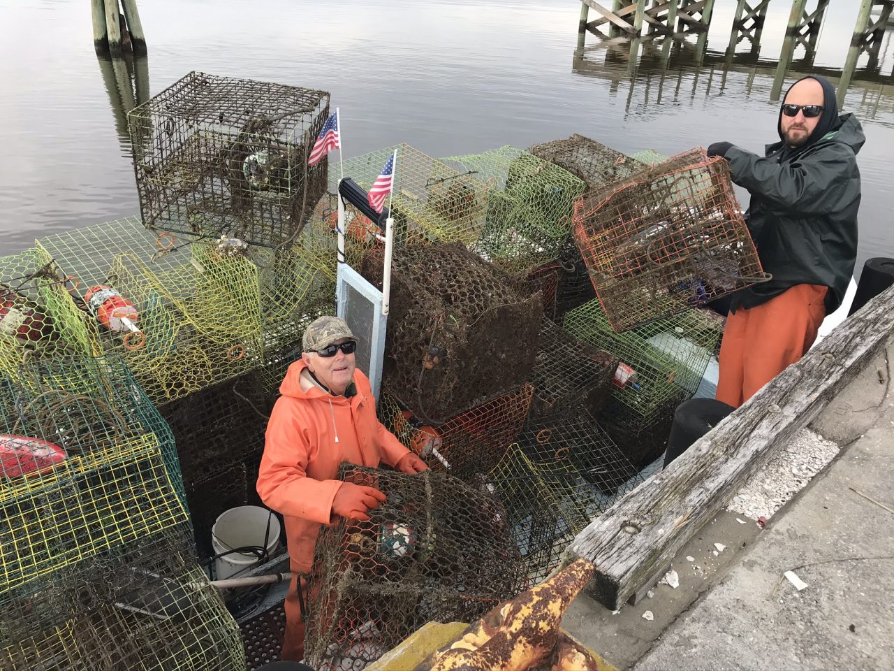 Annual project to remove lost fishing gear underway
