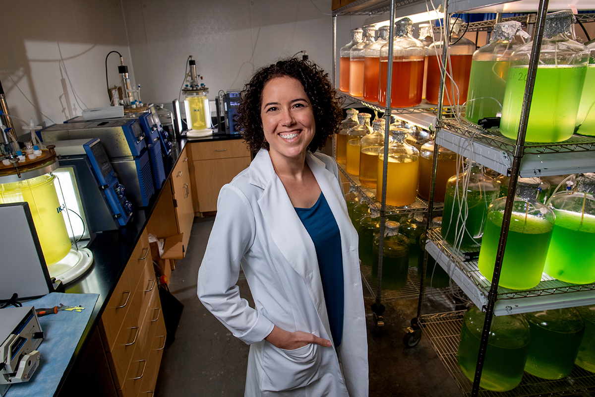 Catharina Alves-de-Souza is director of  UNCW’s Algal Resources Collection, which is focused on the growth and maintenance of harmful algal species for academic, commercial and industrial research. Photo: Jeff Janowski/UNCW