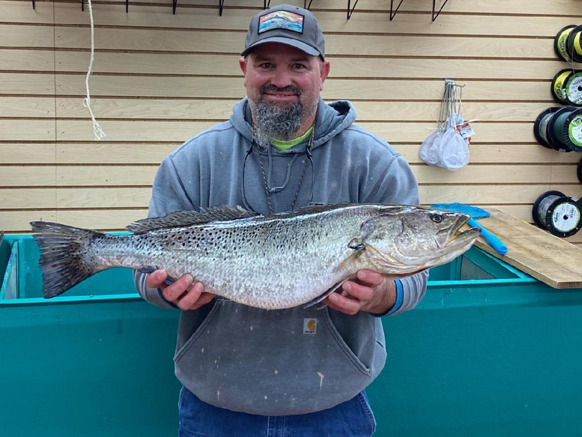 Todd Spangler of Merritt caught the 12-pound, 8-ounce fish Feb 9 in the lower Neuse River in Pamlico County.  Photo: N.C. Division of Marine Fisheries