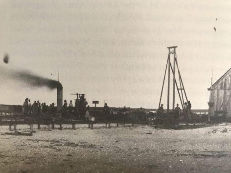 A menhaden scrap and oil factory near Beaufort., circa 1880-1900. A menhaden factory at Davis Ridge probably resembled this rather unimposing complex. Courtesy of State Archives of North Carolina