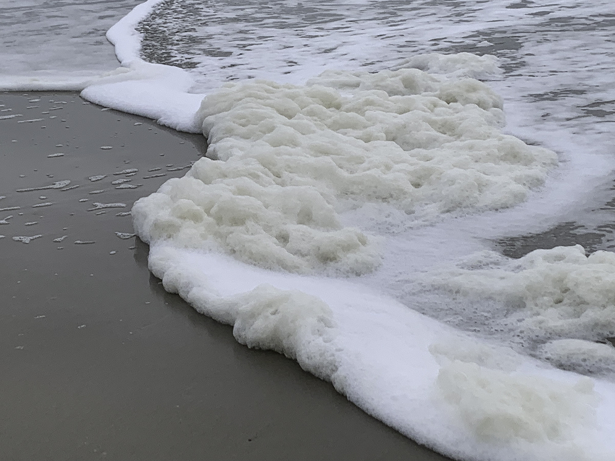 Foam like this found at Caswell Beach and other locations near the Cape Fear River has been found to contain  elevated levels of per- and polyfluoroalkyl substances. Photo: Clean Cape Fear