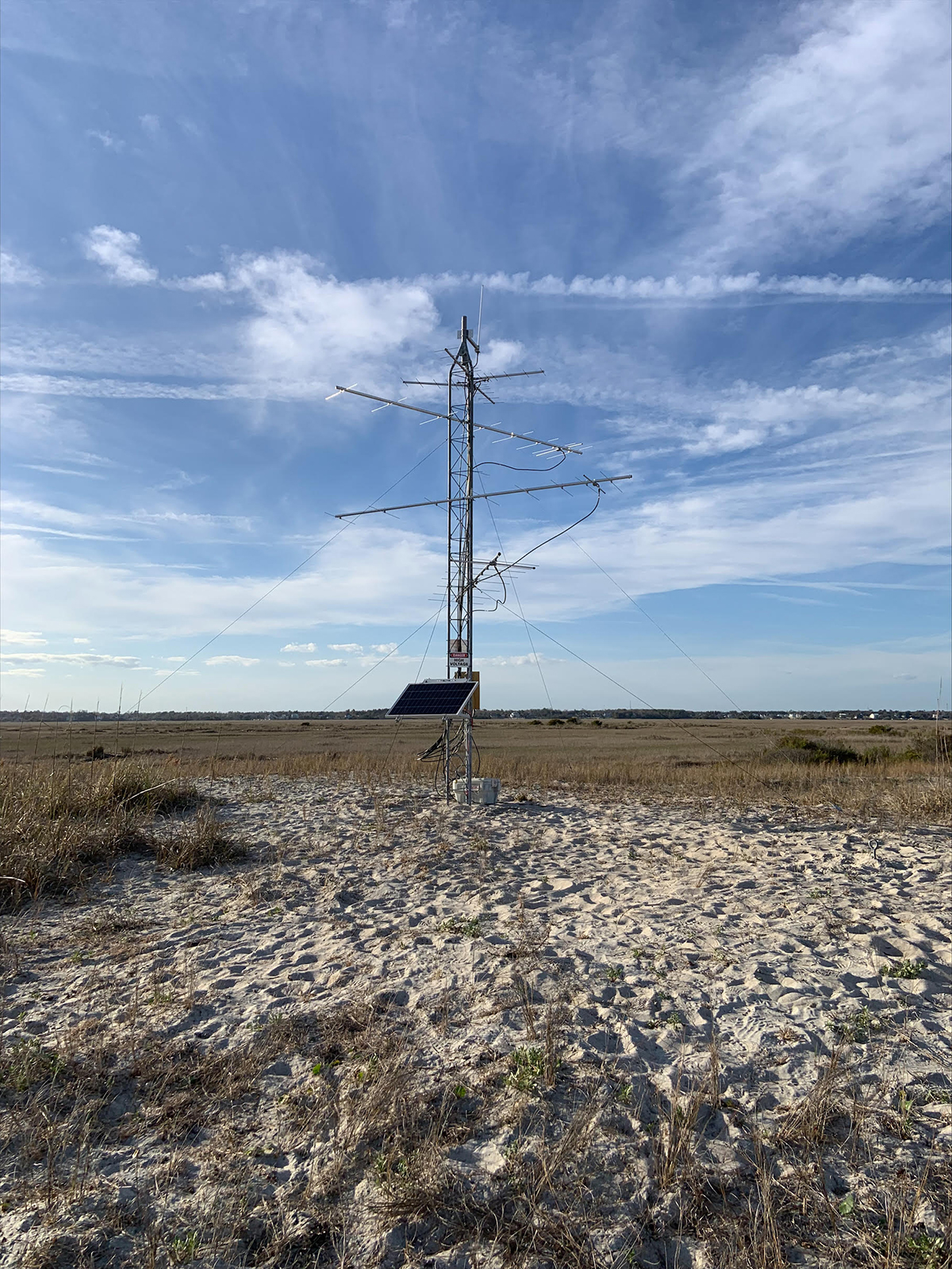 The Motus tower on Lea Island. Photo: Marae West