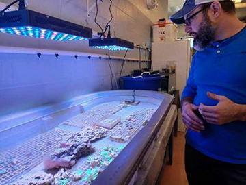 David Cerino is the chair of CCC's Aquaculture Technology program. Photo: Lena Beck