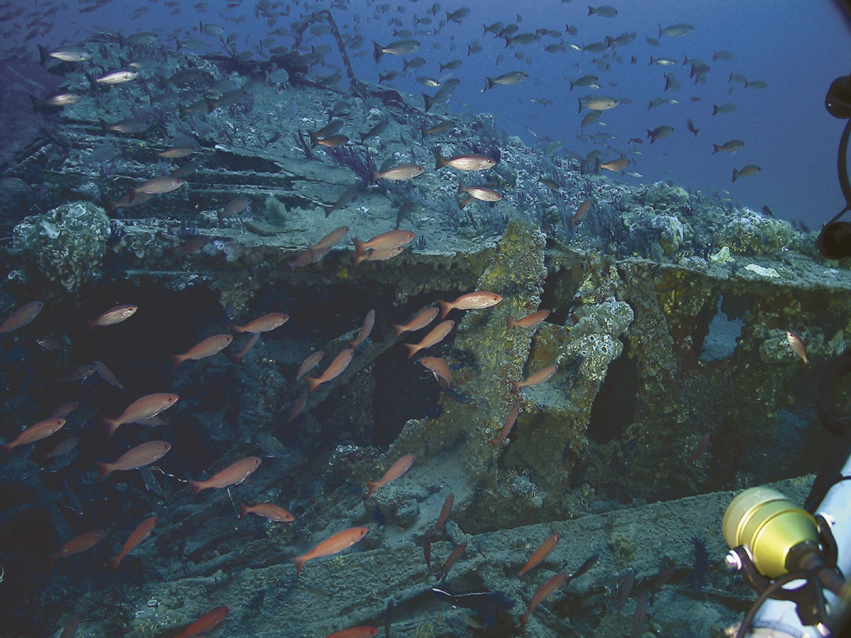 Nearly 160 years after the USS Monitor sunk off the North Carolina coast in a New Year's Eve storm, the wreck discovered in 1973 teems with marine life. Photo: NOAA