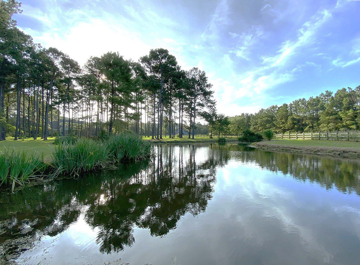 The pond at St. James Plantation. Photo: Contributed