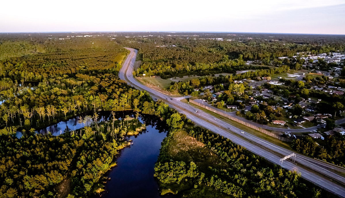 The plan looks to preserve Wilmington's urban forest. Photo: Contributed