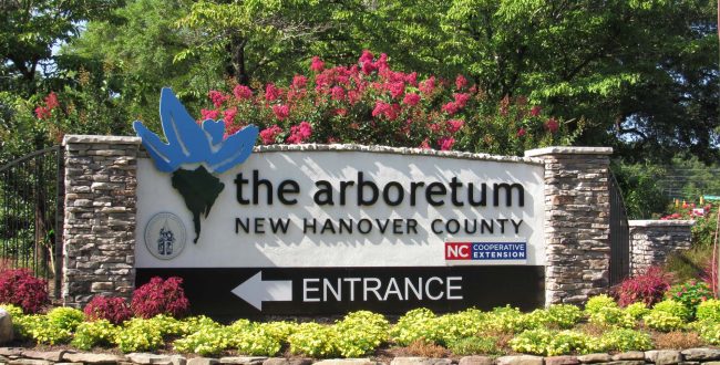 The Stormwater Management and Flooding Prevention on Wetland Landscapes workshop takes place Friday at the New Hanover County Arboretum, shown here. Photo: New Hanover County