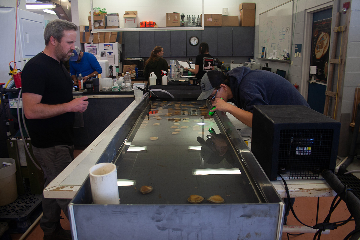 Carteret Community College employees and students monitor spawning. Photo: Lena Beck