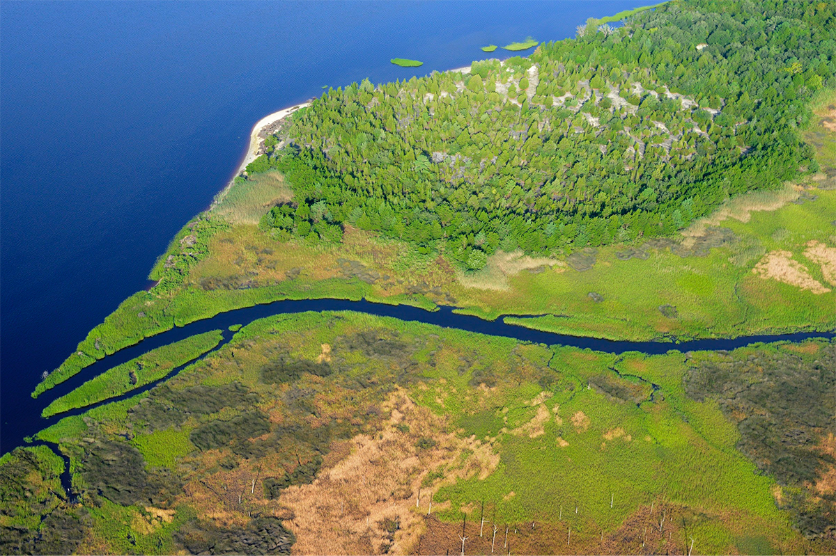 Cape Fear River. Photo: Alan Cradick/Cape Fear River Watch.