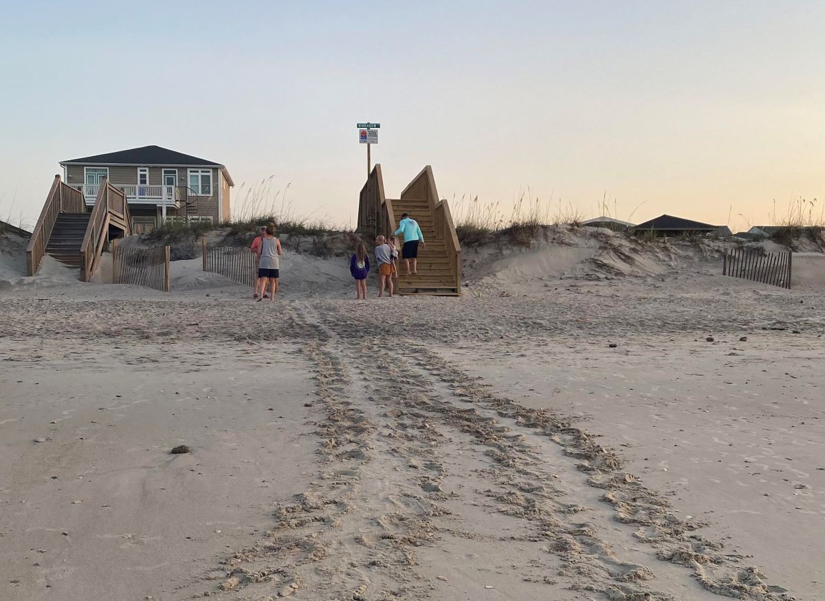 Volunteers look for tracks like those shown in this photo to find new sea turtle nests. Photo: Deb Allen