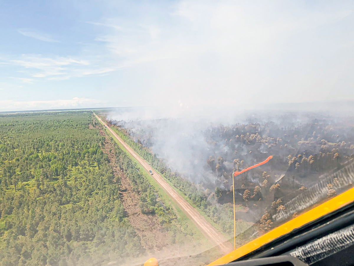 The Ferebee Road Fire in Hyde County, likely started by lightning June 19, is shown in this photo the N.C. Forest Service posted Tuesday on Facebook.