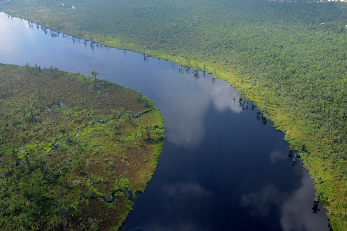 North Carolina: New River to Cape Fear