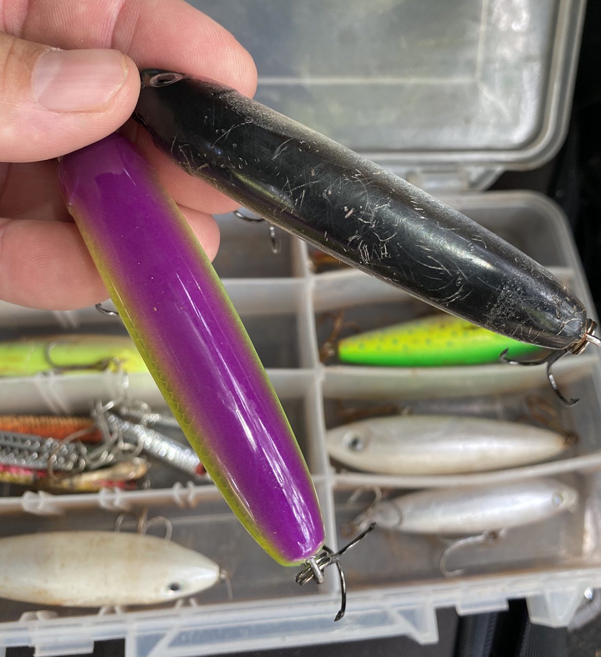 Always choose lures with scratches on them. Photo: Capt. Gordon Churchill