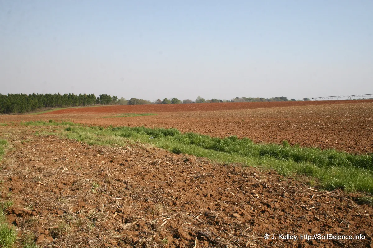 USDA Crop Progress report: North Carolina is first state to finish