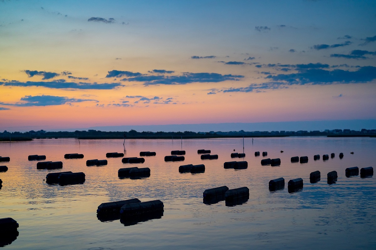 A water column lease allows floating cages, like these, to farm shellfish. Photo: North Carolina Sea Grant