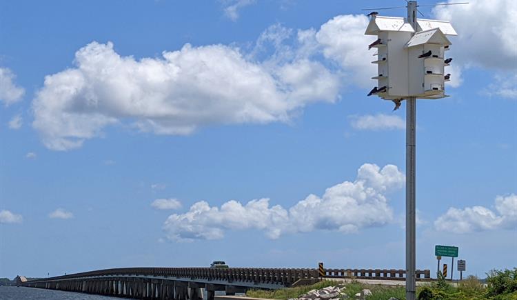 ​A purple martin house at the William B. Umstead Bridge in Manns Harbor. Photo: NCDOT