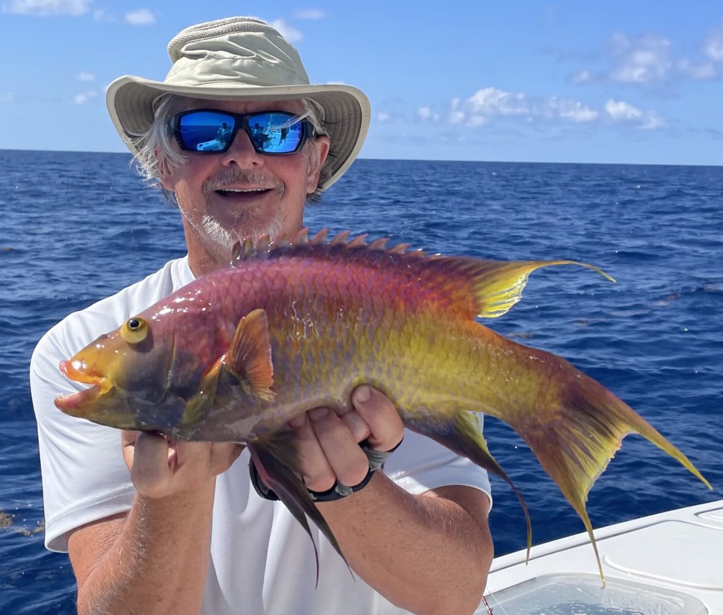 State certifies first record-setting Spanish hogfish