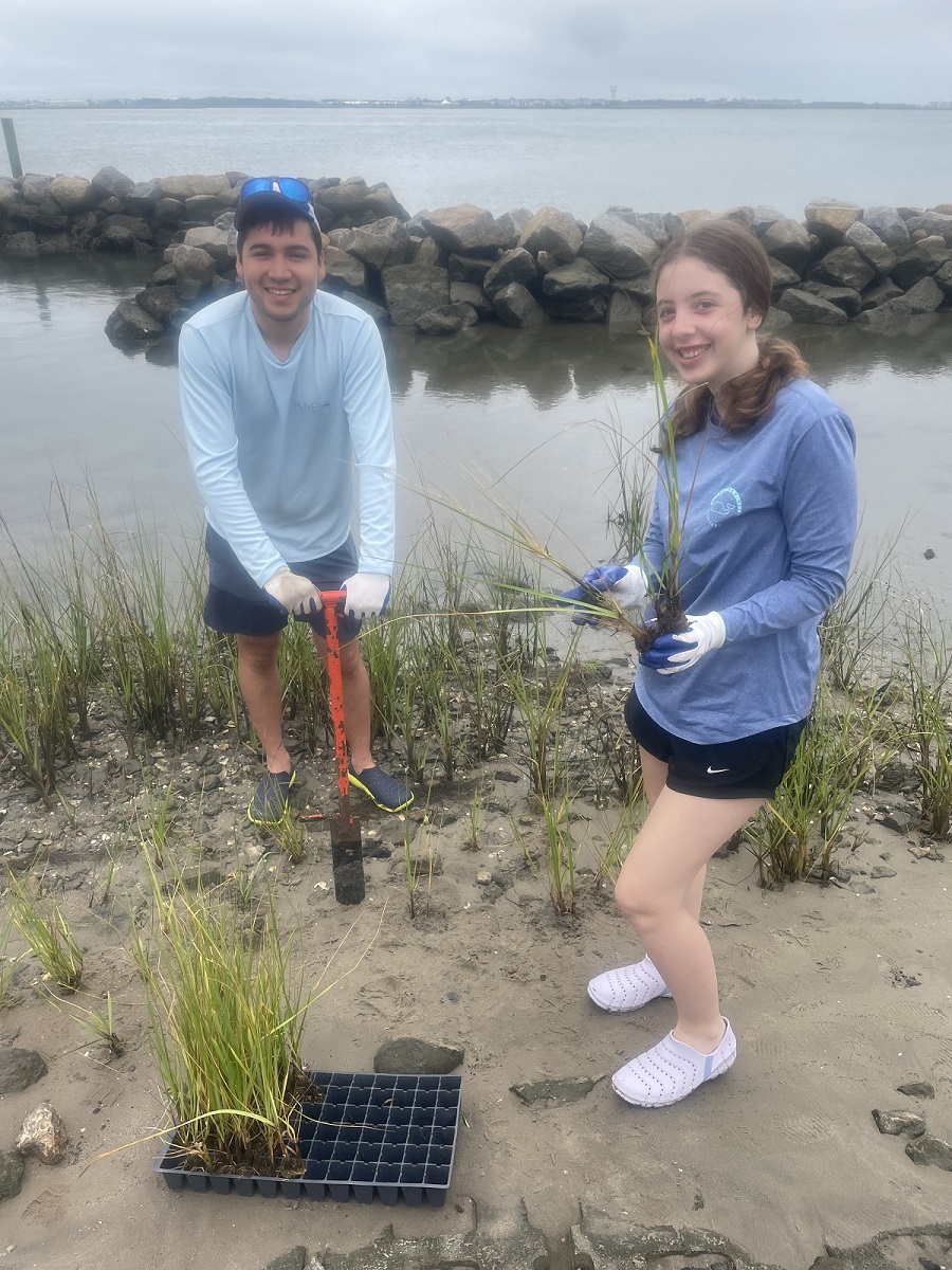 Andres Hernandez and Ava Wellener plant plugs of marsh grass. Photo: Laura Givens/Duke University