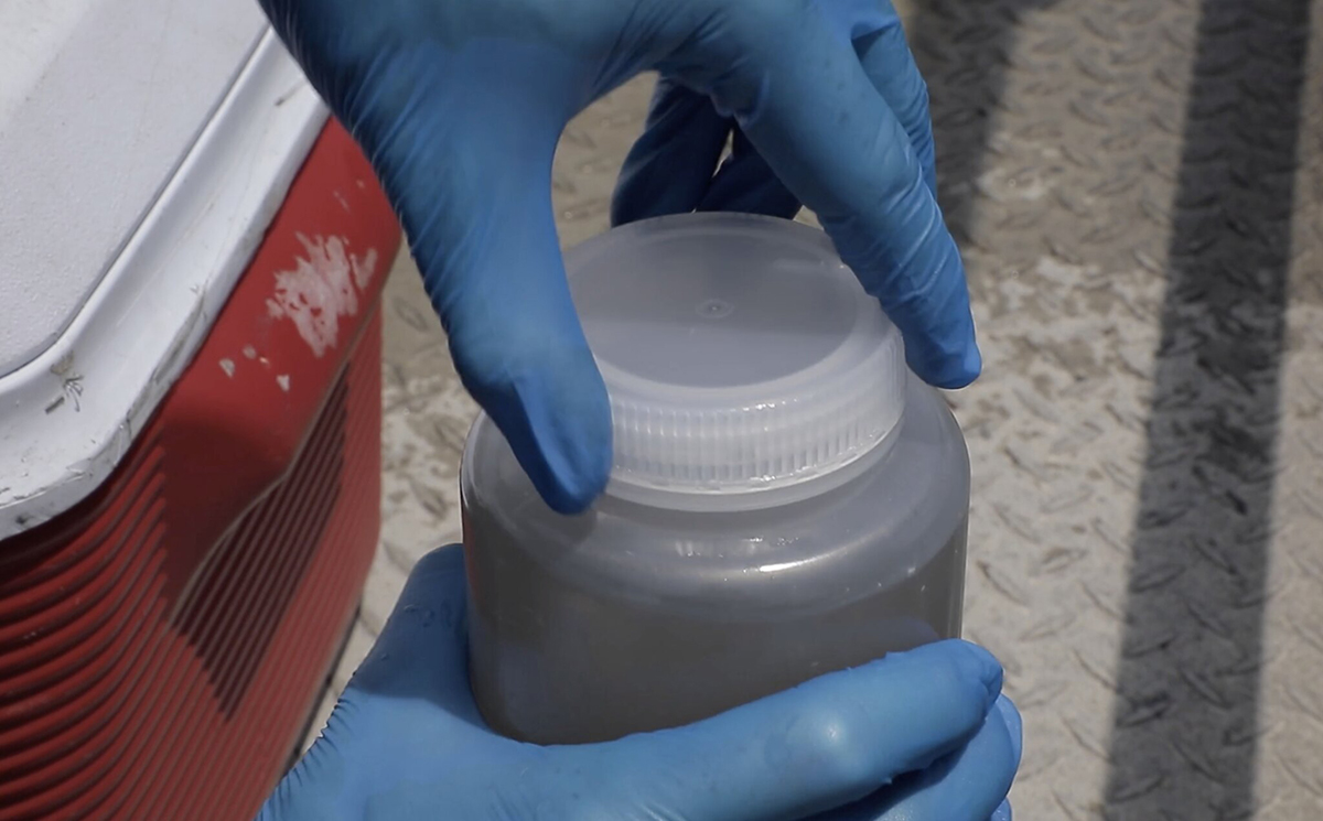 A University of North Carolina Institute of Marine Sciences researcher collects a wastewater sample. Photo: M. May/UNC Research