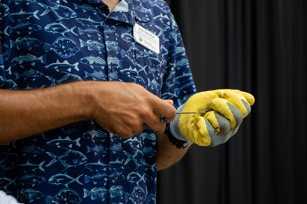 Oysters are the main course at a past Pelican Awards event. Photo: North Carolina Coastal Federation