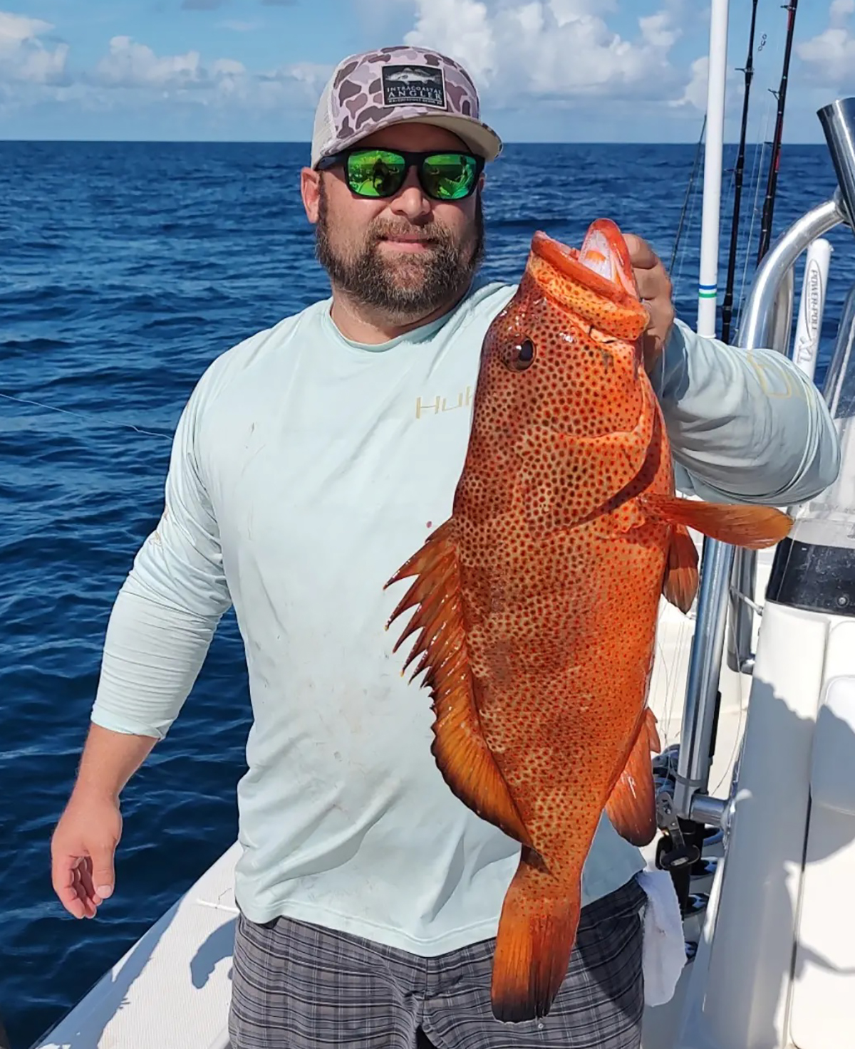 Red Hind Grouper