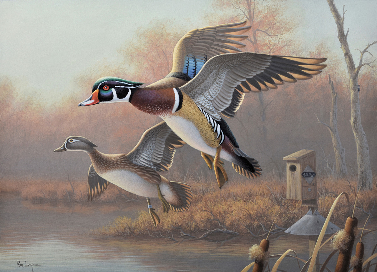 The artwork features a pair of wood ducks painted by the award-winning artist, Ron Louque.