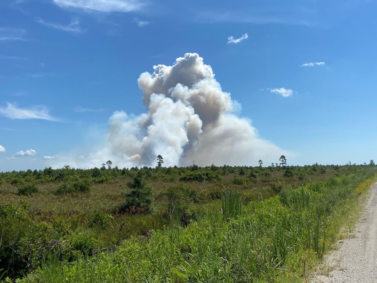 Smoke from a 2021 wildfire rises near the Pender County-Onslow County line. Photo: Pender County