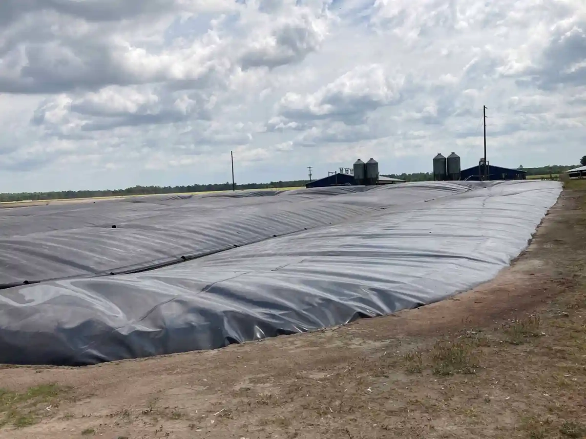 An anaerobic digester at a hog farm near Kenansville in Duplin County. Photo: Greg Barnes/North Carolina Health News
