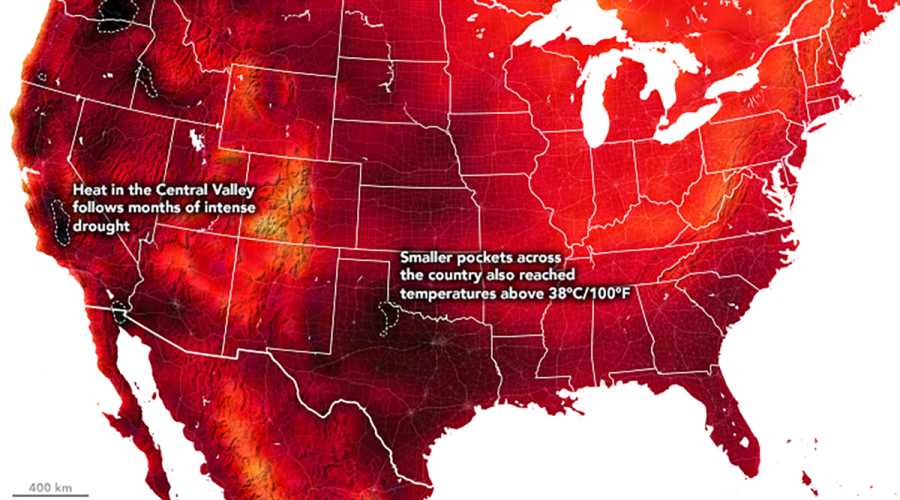 This map from the NASA Earth Observatory shows daily high temperatures on July 31.