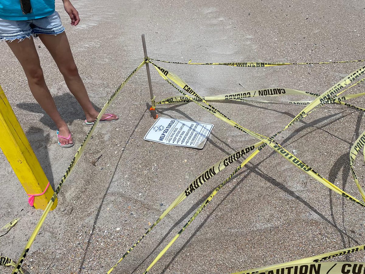 A sea turtle nest shows signs of tampering. The Emerald Isle Sea Turtle Patrol asks the public to report any individual lingering around sea turtle nests, especially at odd hours, by calling 252-646-8292. Photo: Emerald Isle Sea Turtle Patrol 