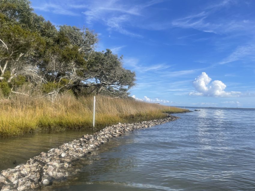 Example of a living shoreline. Photo: North Carolina Coastal Federation