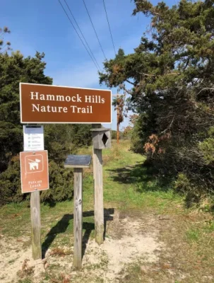 The Hammock Hills trailhead. Photo: C. Leinbach/Ocracoke Observer