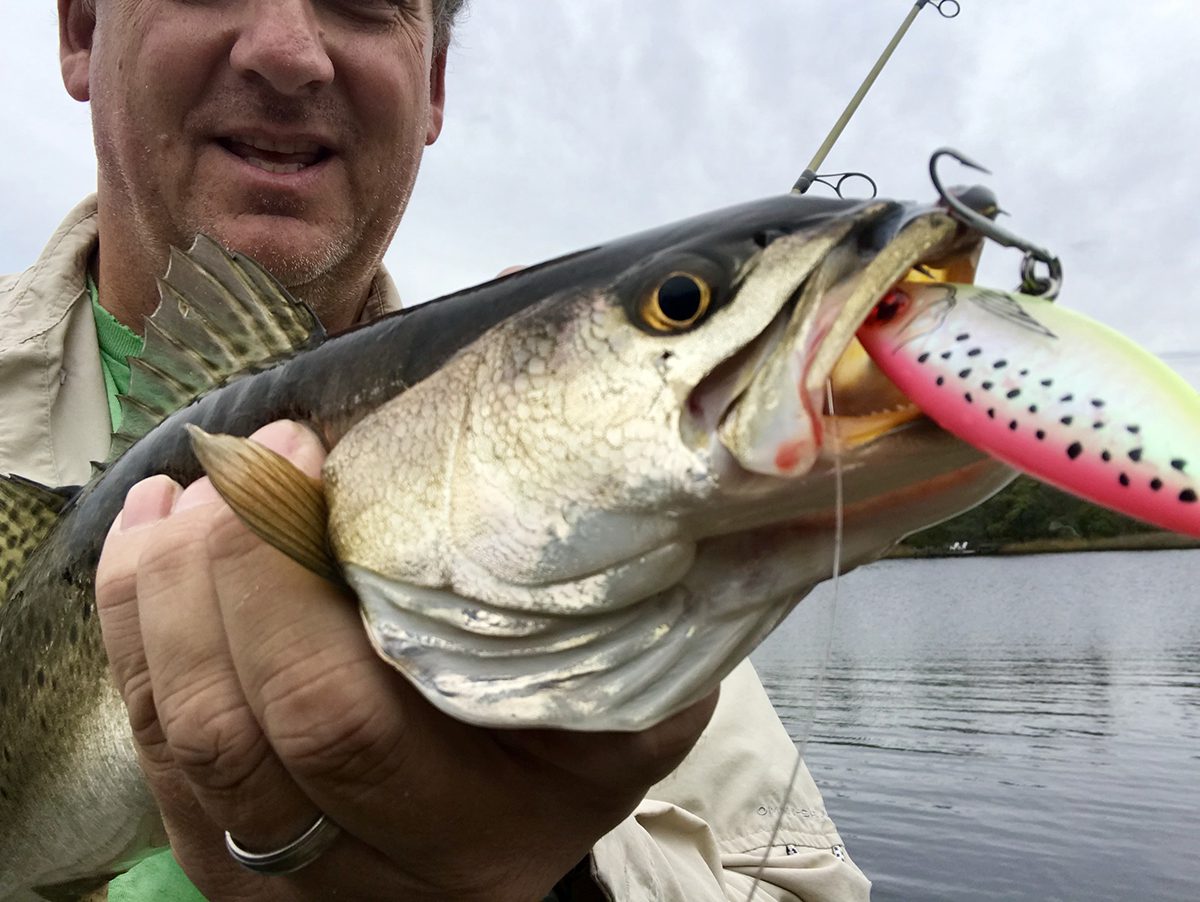 Speckled trout await: Roadside spots ideal for fall fishing