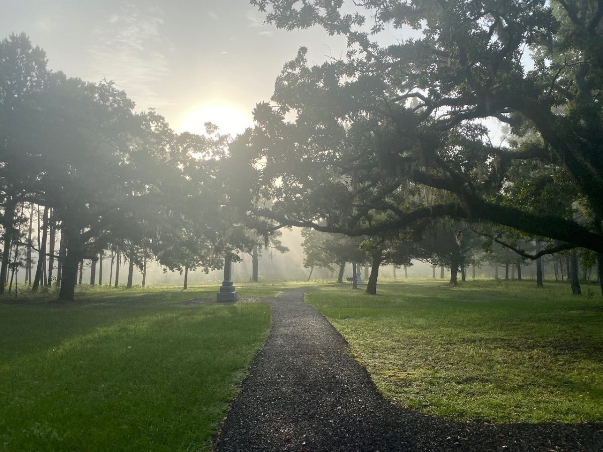 The History Trail at Moores Creek National Battlefield. Photo: National Park Service