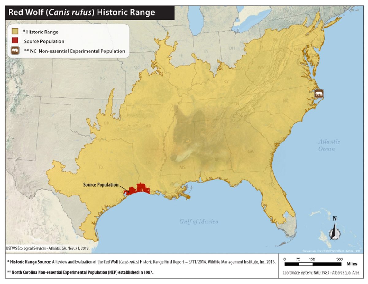 Historic range, captive-bred source population and North Carolina nonessential experimental population areas are shown in this USFWS map.