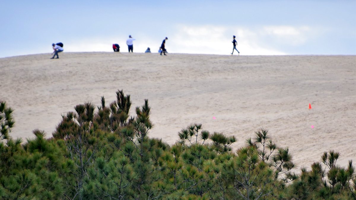 Visitors to Jockeys Ridge State Park are shown atop the dune in this file photo. Photo: Mark Hibbs