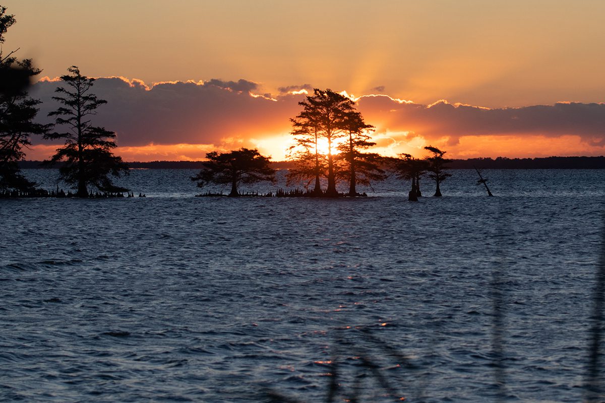 The sun rises over Mattamuskeet Lake in late September. Photo: Corinne Saunders