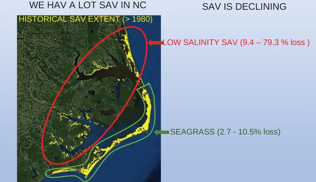 This graphic from the presentation shows where seagrasses are declining. Graphic: Dr. Jud Kenworthy