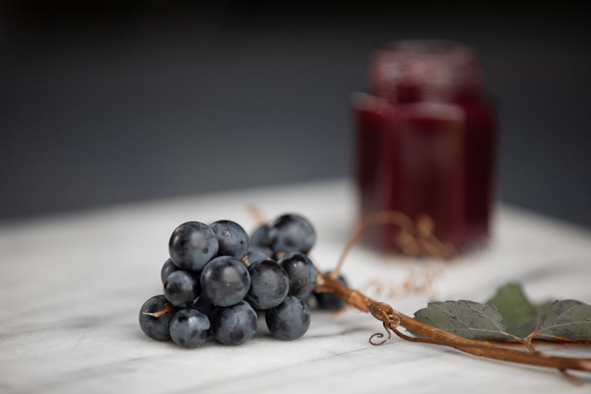 Wild grapes, from "Urban Foraging." Photo: Miriam Doan