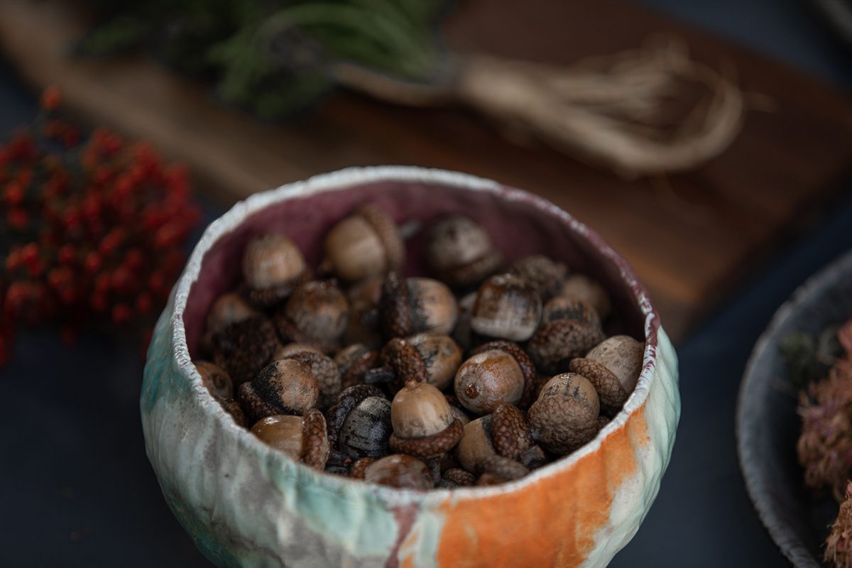 Acorns in a bowl in this image from the book, "Urban Foraging." Photo: Miriam Doan