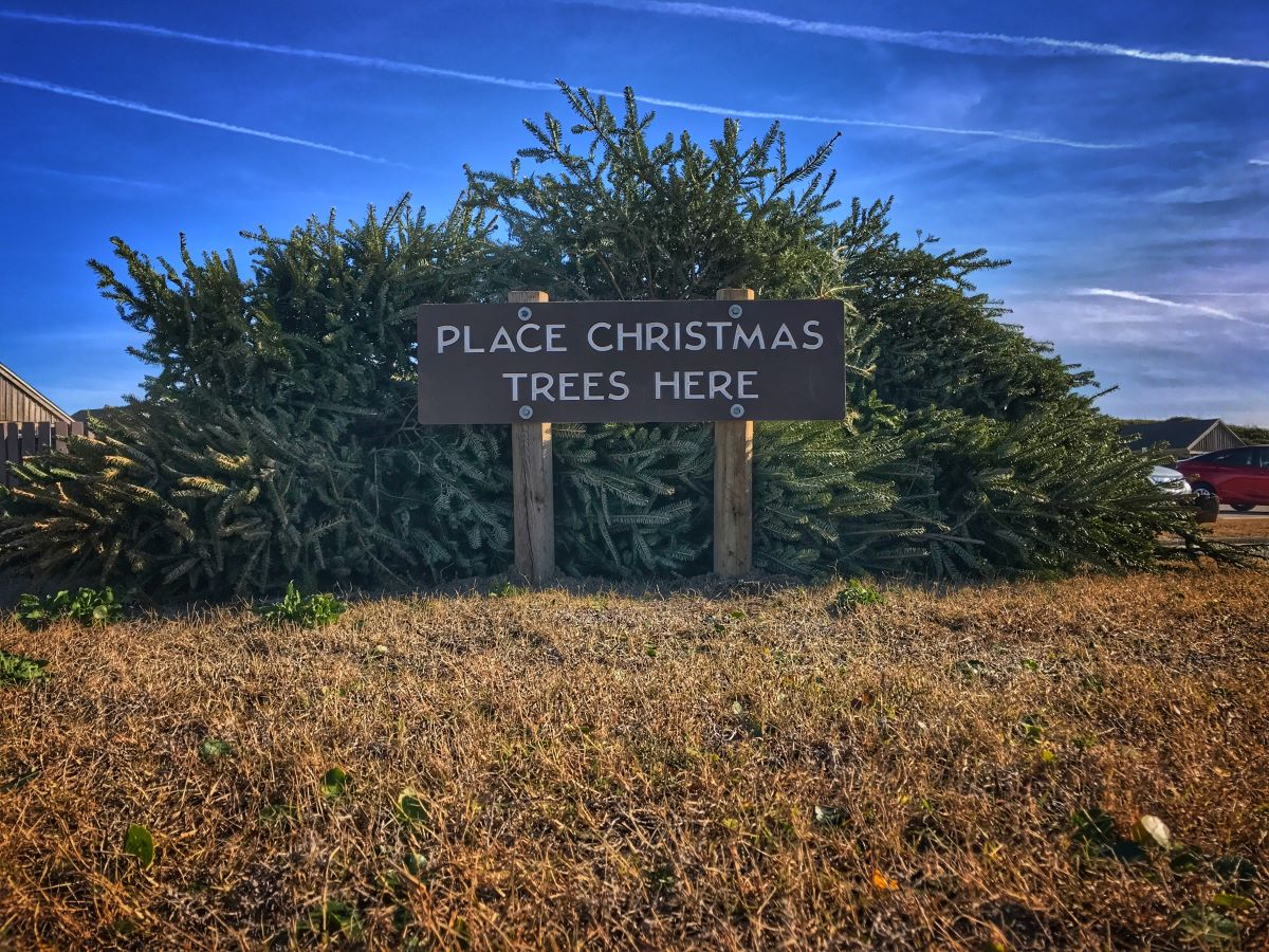 An Angler's Perfect Christmas Tree - Wide Open Spaces